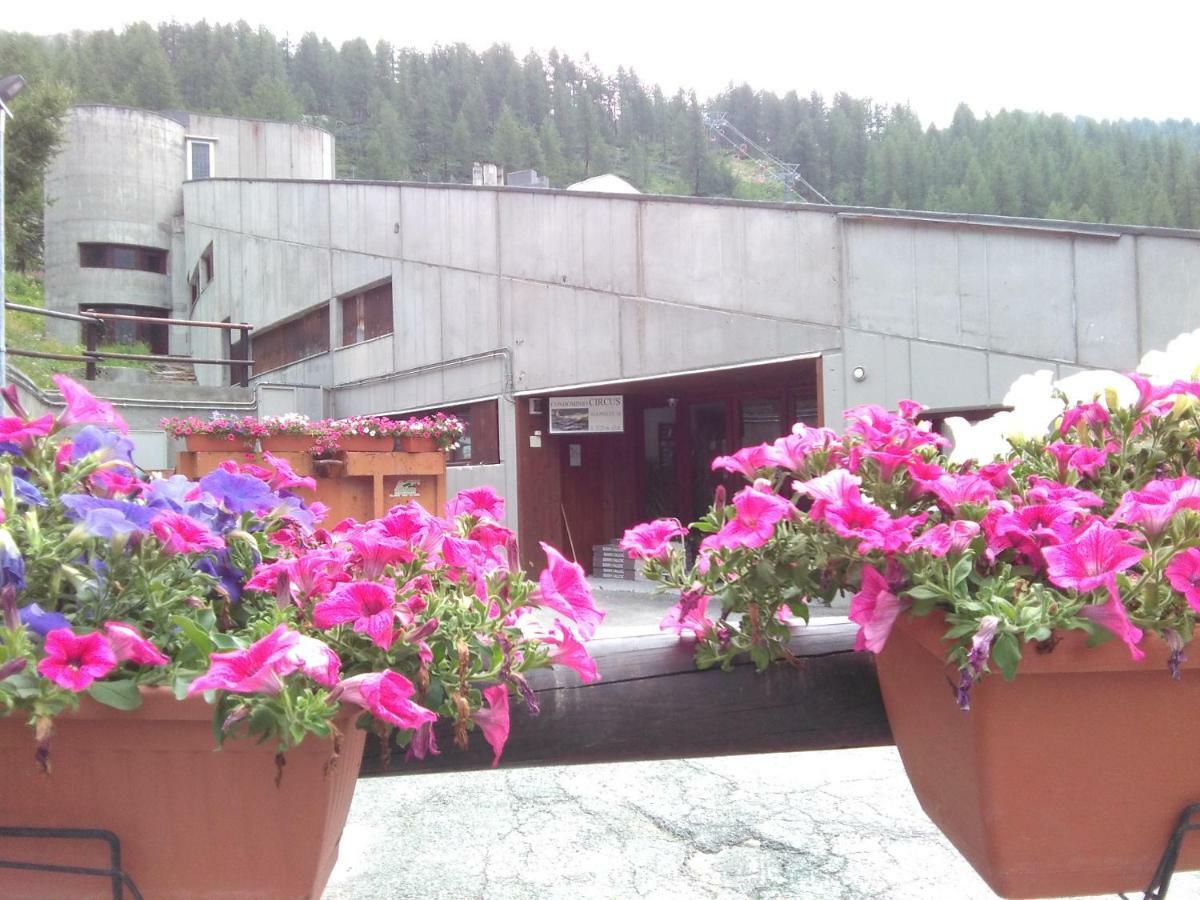 Soldanella Cervinia Apartment Vda Vacanze In Vetta Cir 0253 布勒伊-切尔维尼亚 外观 照片