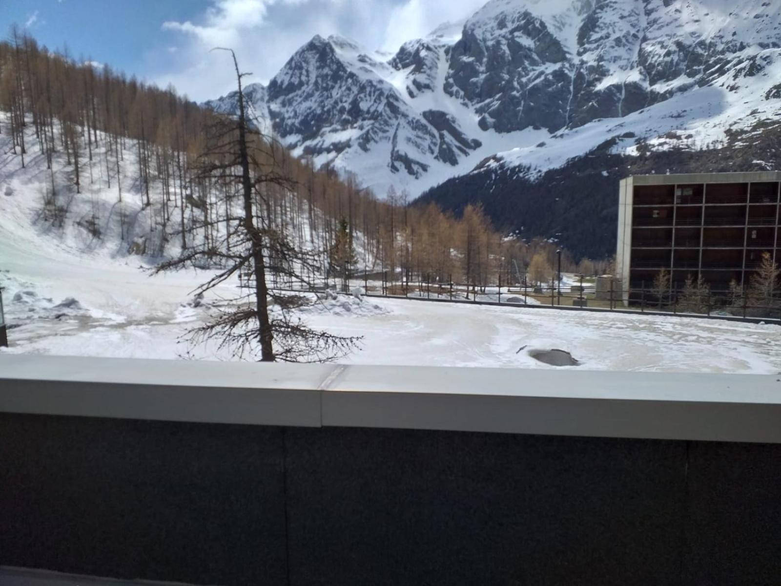 Soldanella Cervinia Apartment Vda Vacanze In Vetta Cir 0253 布勒伊-切尔维尼亚 外观 照片