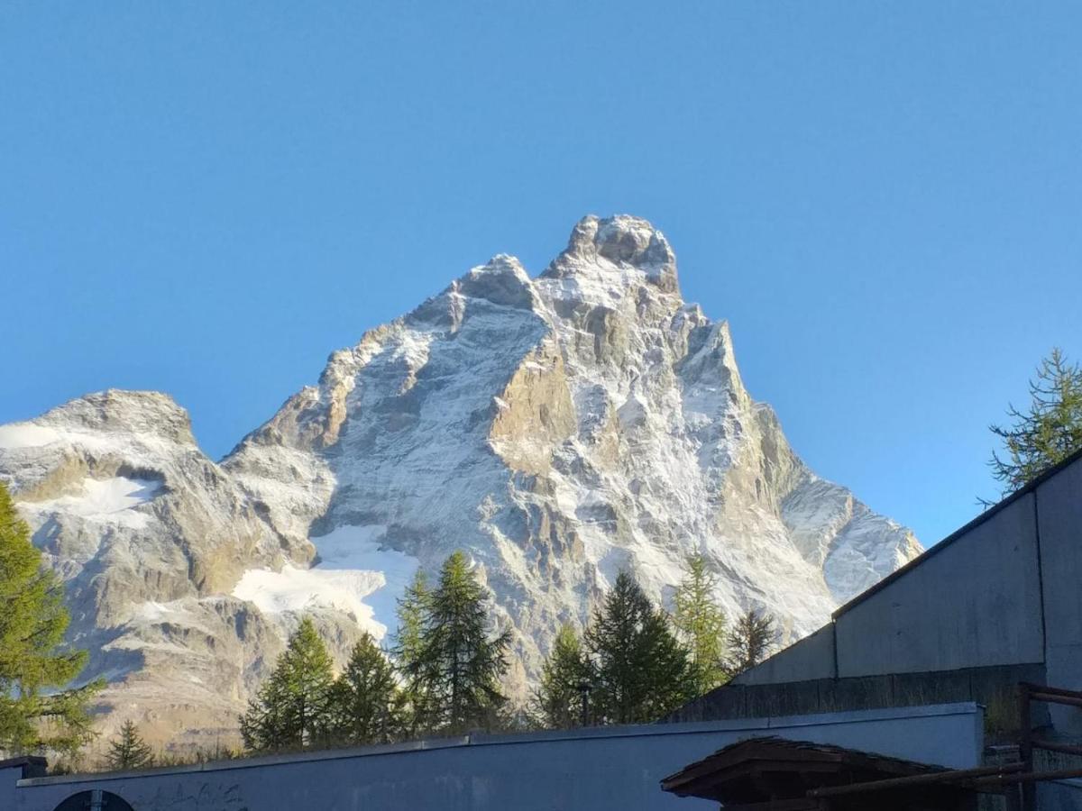 Soldanella Cervinia Apartment Vda Vacanze In Vetta Cir 0253 布勒伊-切尔维尼亚 外观 照片
