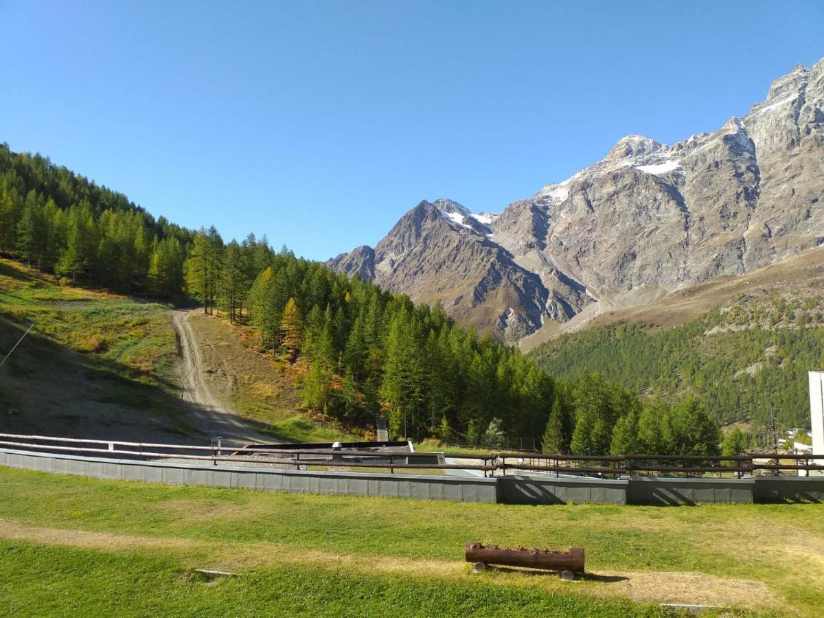 Soldanella Cervinia Apartment Vda Vacanze In Vetta Cir 0253 布勒伊-切尔维尼亚 外观 照片